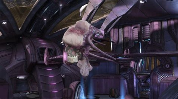 Are engineers bad Halo?