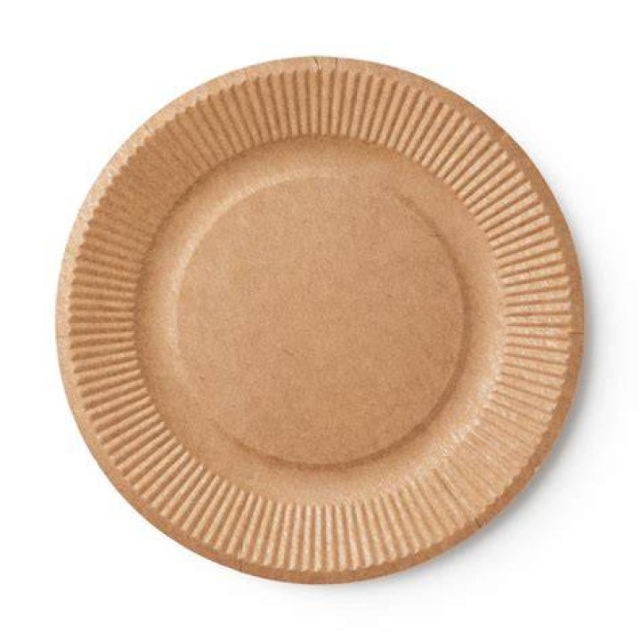 Are paper plates eco friendly?