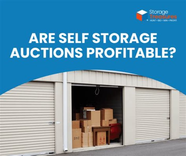 Are there really storage auctions?