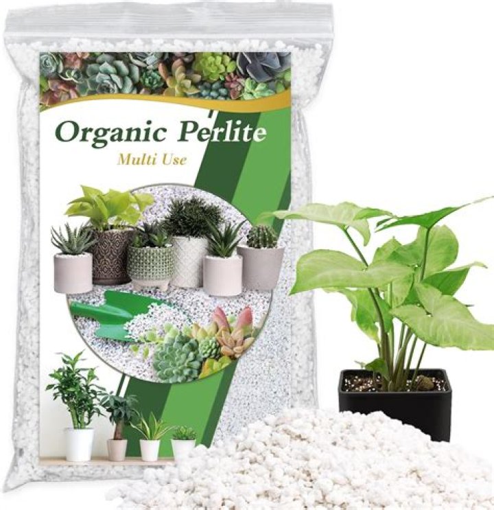 Can you mix perlite with concrete?