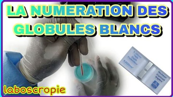 Comment consommer des globules blancs?