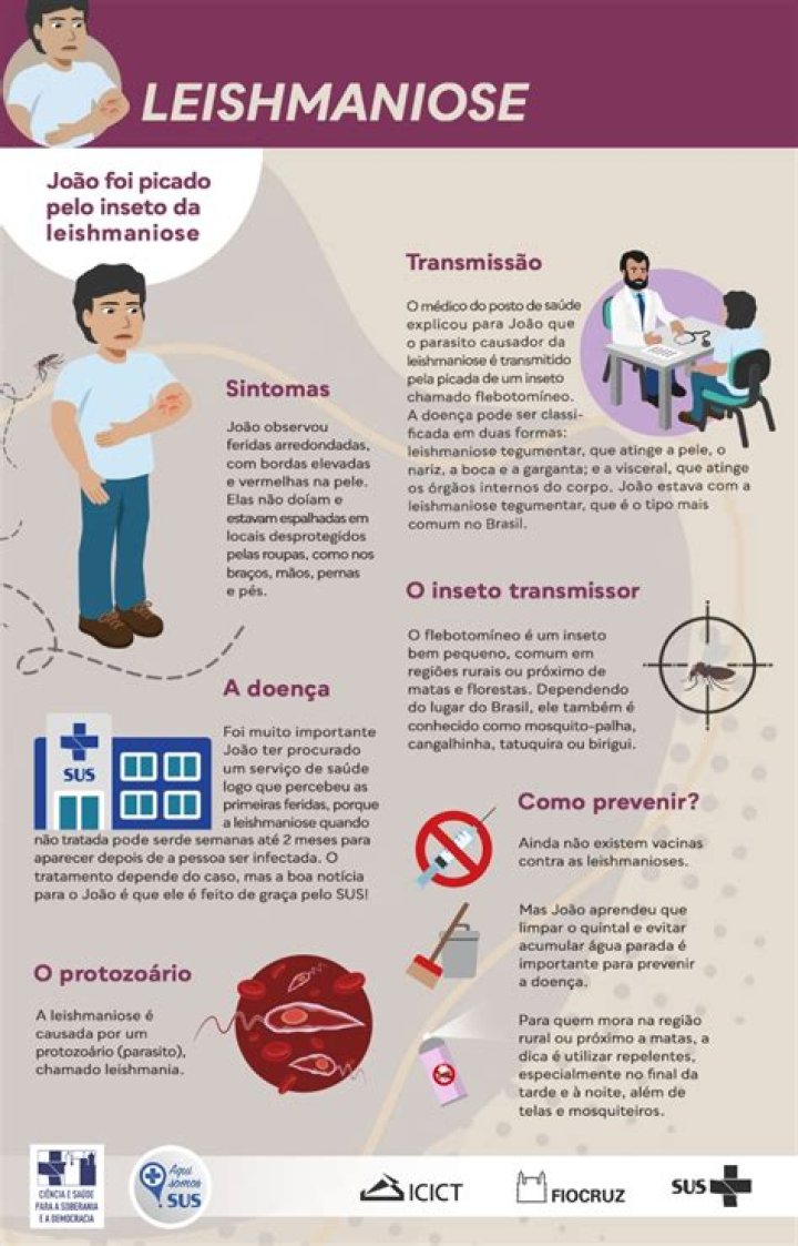 Como diagnosticar a leishmaniose?
