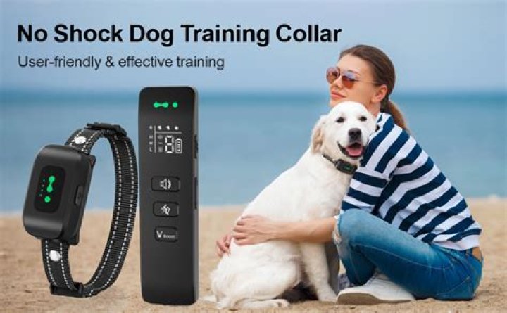 Do vibration collars work for dog training?