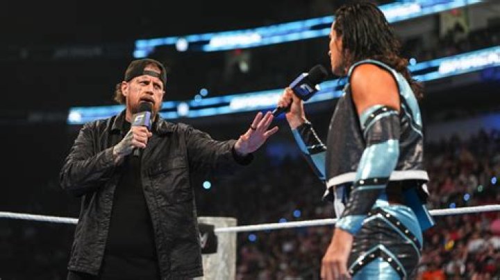 Does a WWE spear hurt?