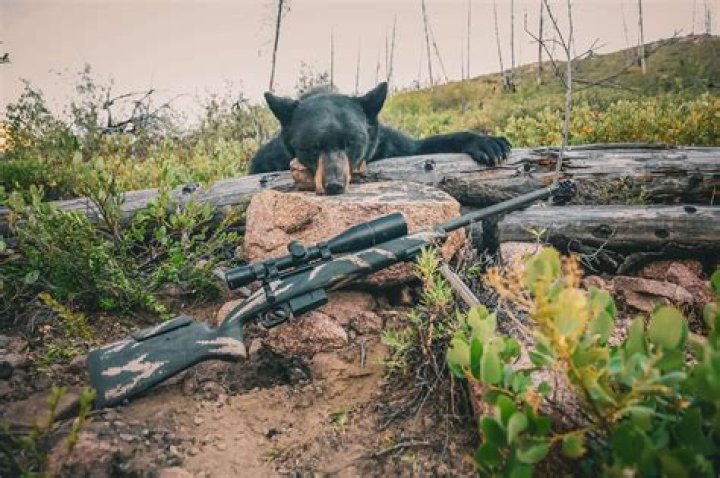 Does Florida have a bear hunting season?
