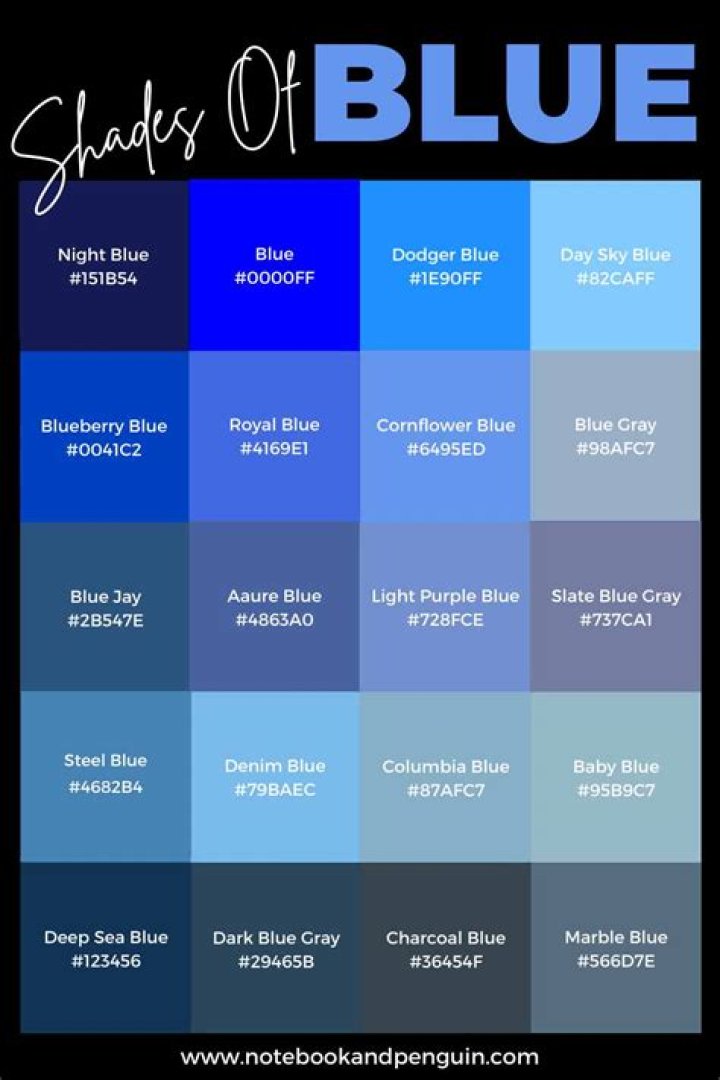 Does Harlee go to jail in shades of blue?