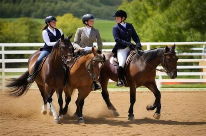 Does horseback riding hurt the horses?