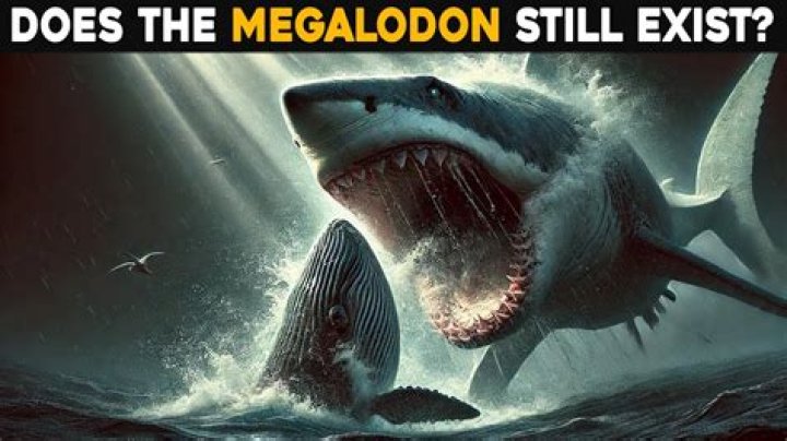 Does Megatrain still exist?