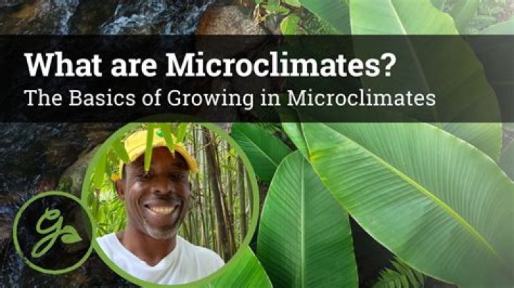 How are microclimates formed?