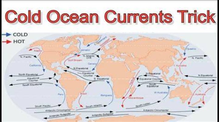How cold is the Pacific Ocean?