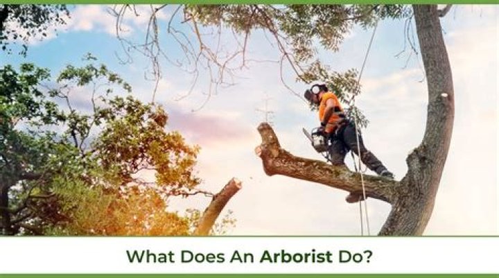 How do I become an arborist in South Australia?