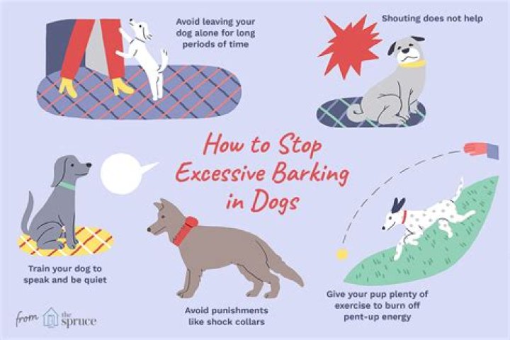 How do I get my dog to stop herding kids?
