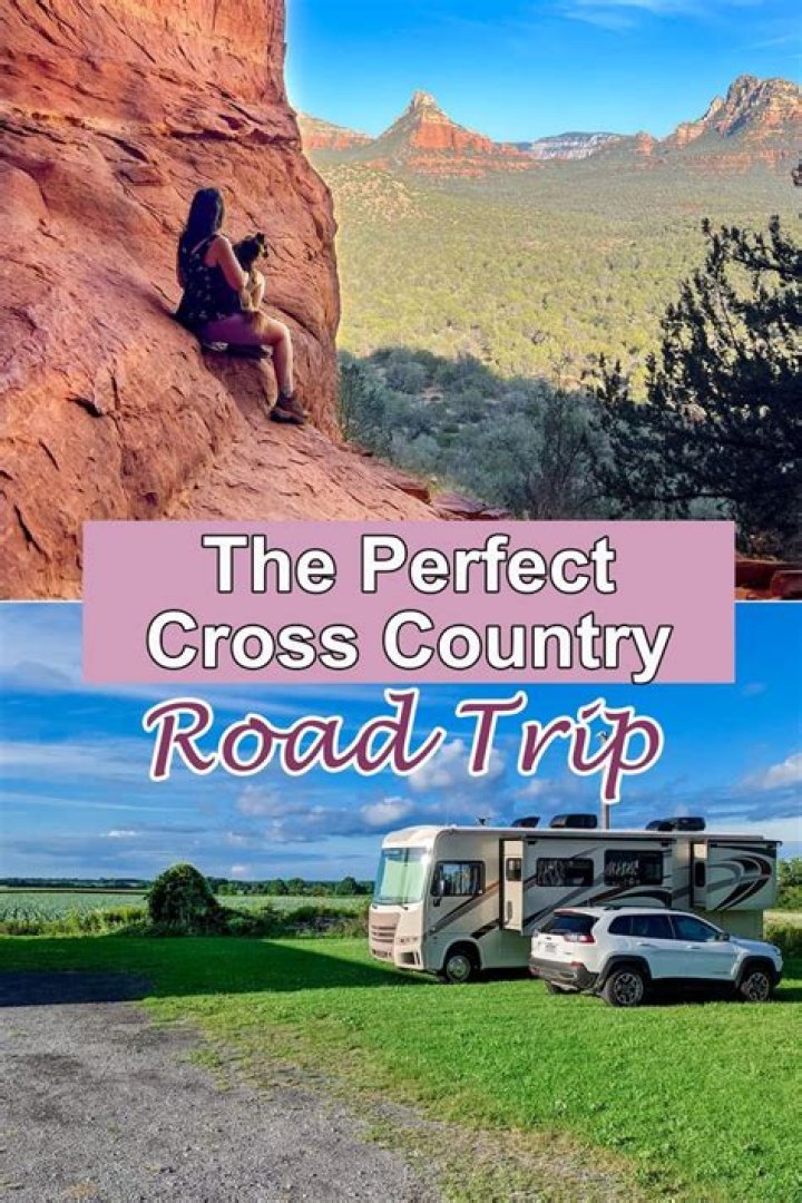 How do I prepare my dog for a cross country road trip?