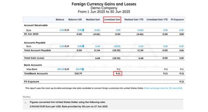 How do you account for foreign currency gains and losses?