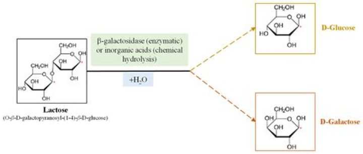 How do you purify beta-galactosidase?