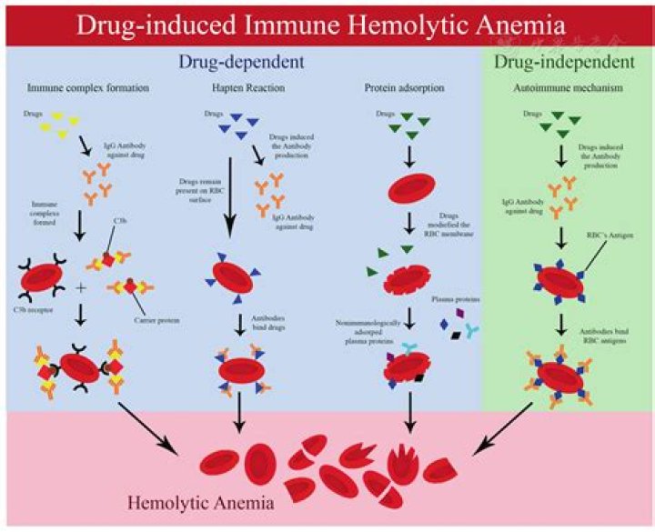 How do you test for drug induced hemolytic anemia?