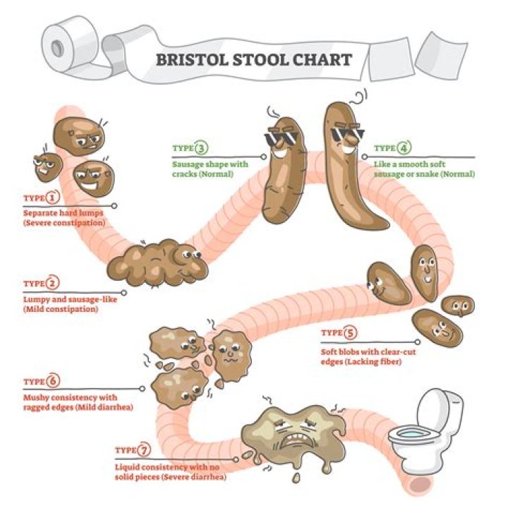 How does stool form in the colon?