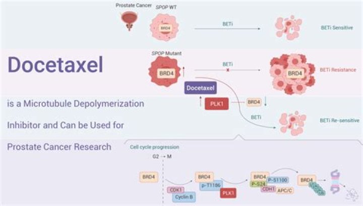 How effective is docetaxel for breast cancer?