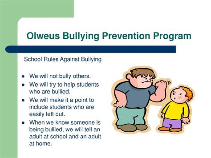 How effective is the Olweus bullying prevention program?