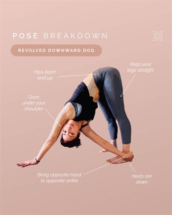 How Much Does Down Dog Yoga cost?
