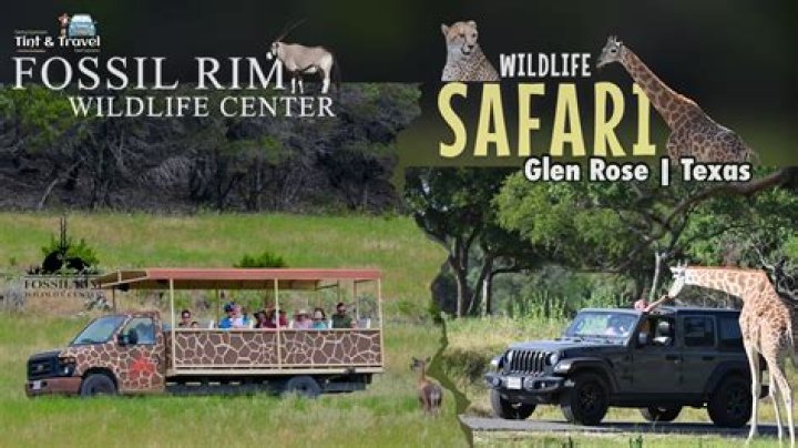 How much does it cost to go to Fossil Rim Wildlife Center?