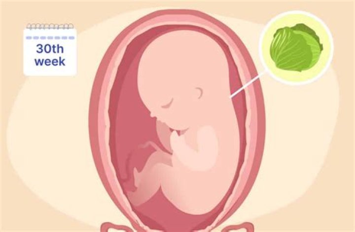 How much would a baby weigh if born at 30 weeks?