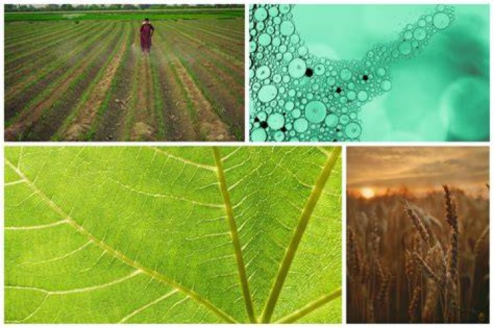How nanotechnology is used in agriculture?