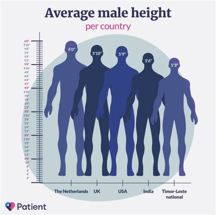 How tall is the average 5 10 male?