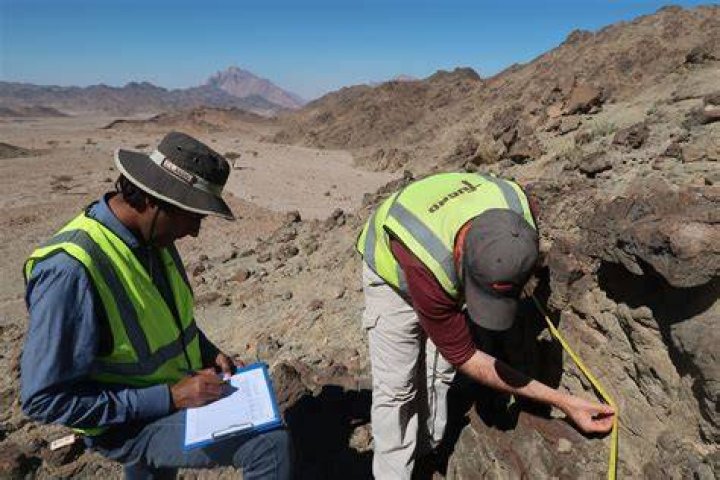 Is geophysicist and geologist the same?
