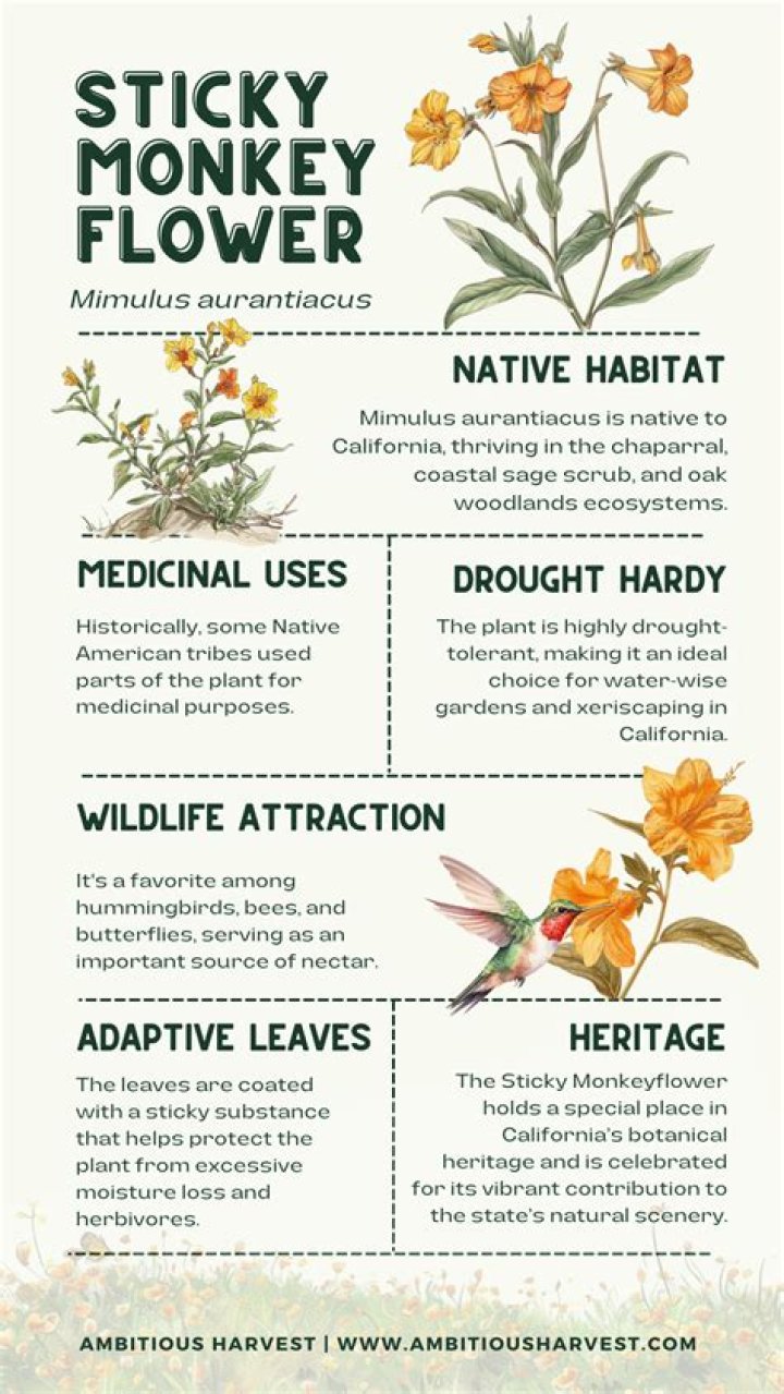 Is monkey flower poisonous?