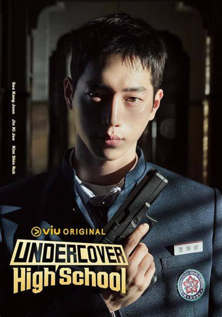 Is POSCO a chaebol?