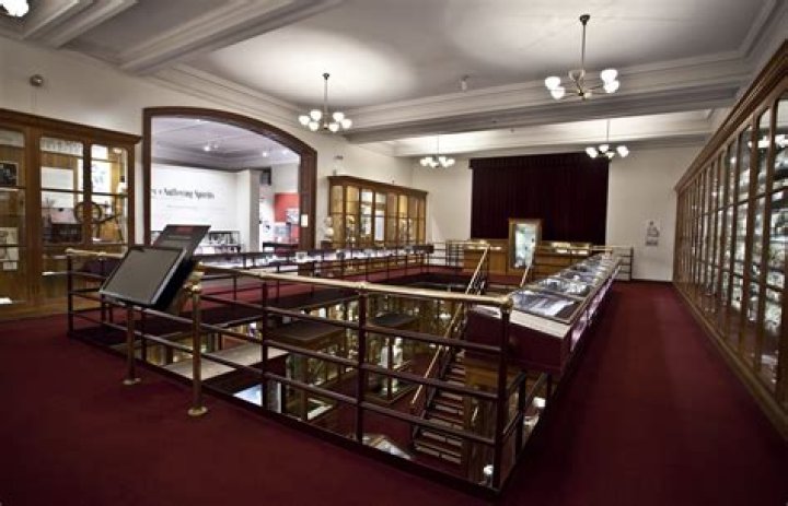 Is the Mutter Museum real?