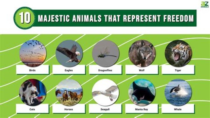 What animal represents ENFJ?