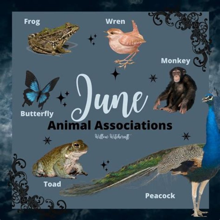 What animal represents June?