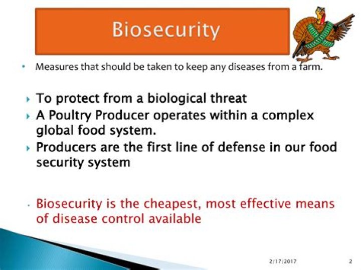 What are biosecurity measures in poultry?