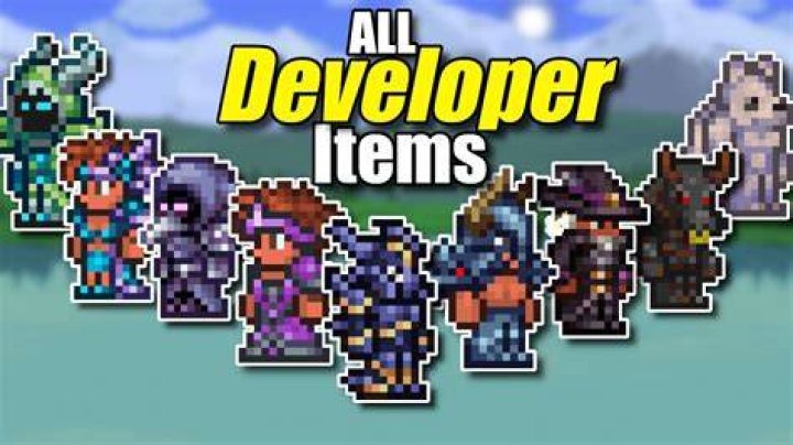 What are developer items for Terraria?