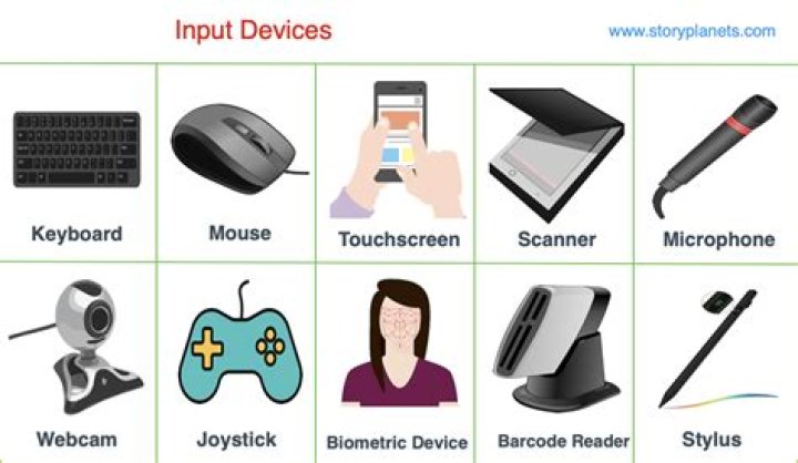 What are input devices teach ICT?