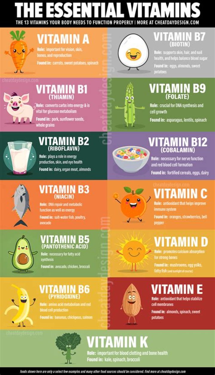 What are the 24 B vitamins?
