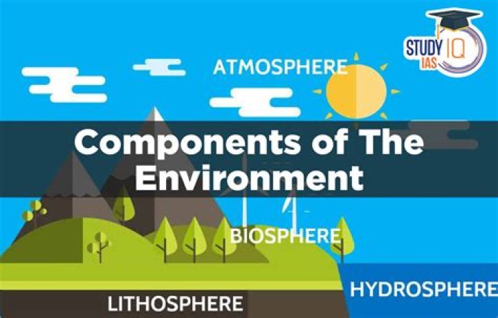 What are the components of the GTU logo?