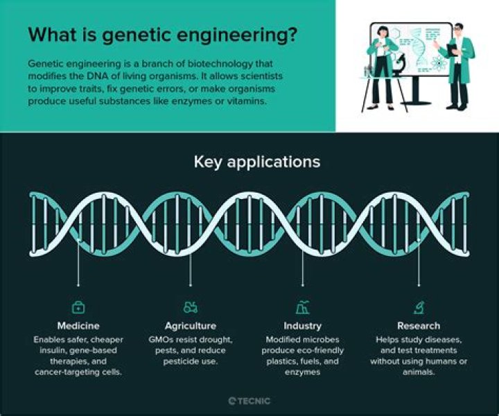 What are the four methods of genetic engineering?