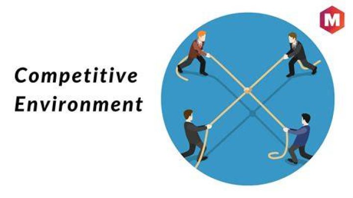 What are the levels of competition in sports?