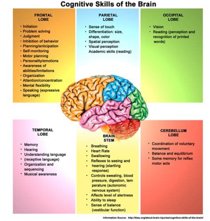 What are the non-cognitive skills?