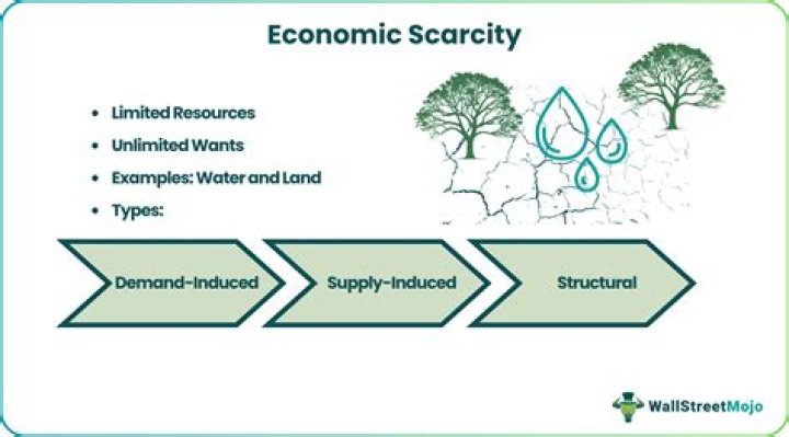 What are the three 3 economic questions that scarcity leads to?