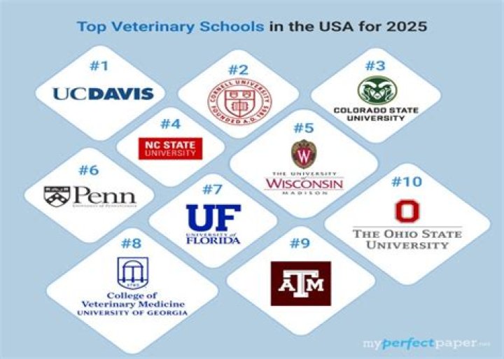What are the top 10 veterinary colleges 2021?