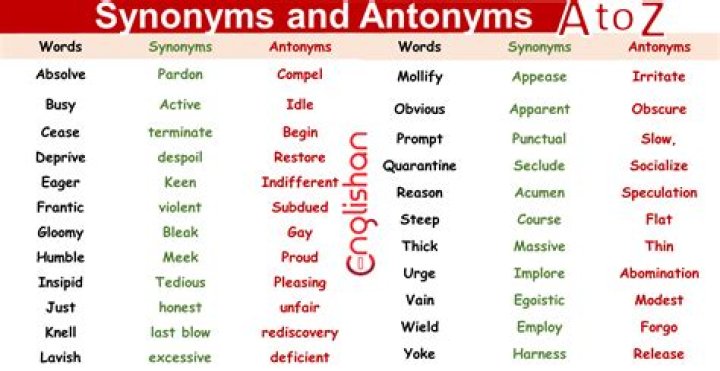 What are two synonyms for operated?