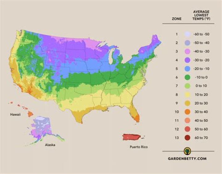 What are Zones 10 12 for plants?