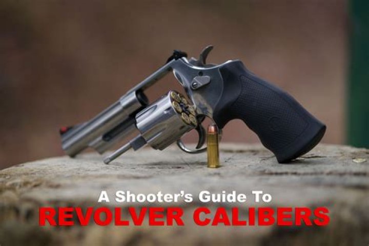 What caliber is best for boar?