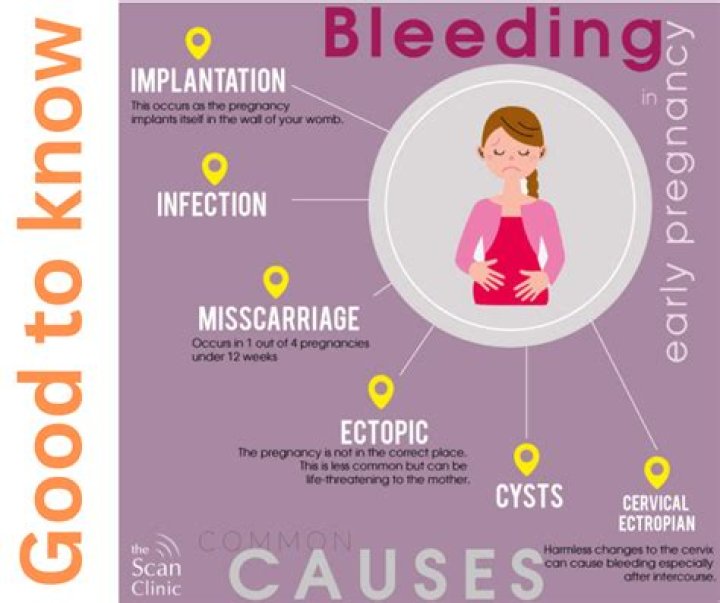 What can cause bleeding during pregnancy other than miscarriage?