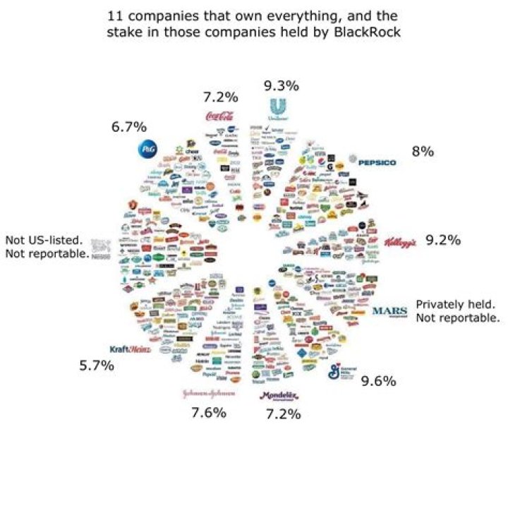 What companies does NTT own?