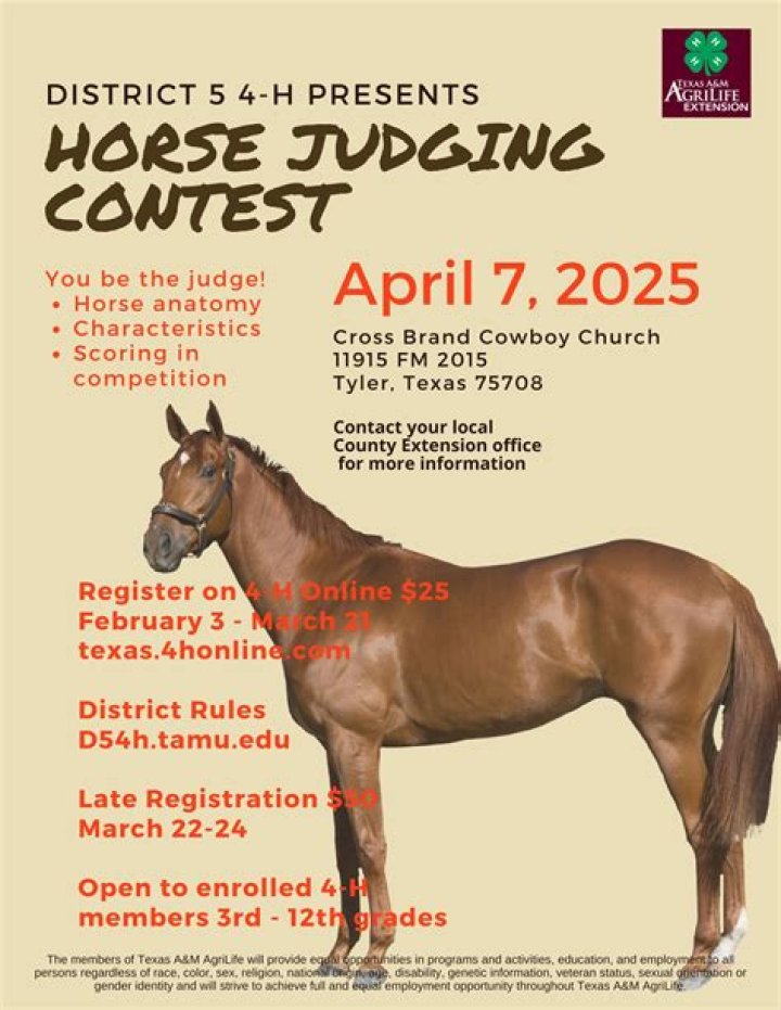 What do you wear to a horse judging competition?
